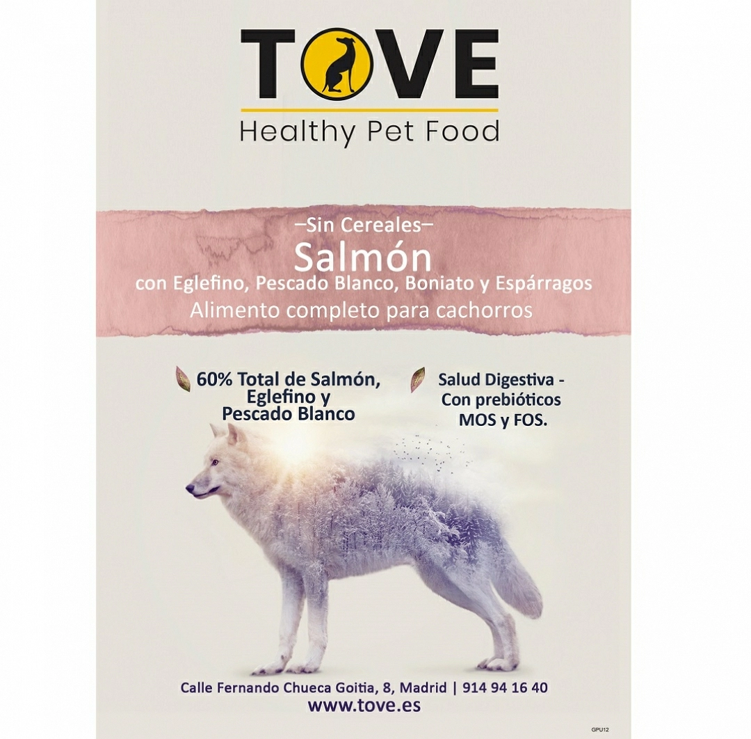 GF Salmón con Eglefino, Bacaladilla, Boniato y Espárragos (Cachorros)