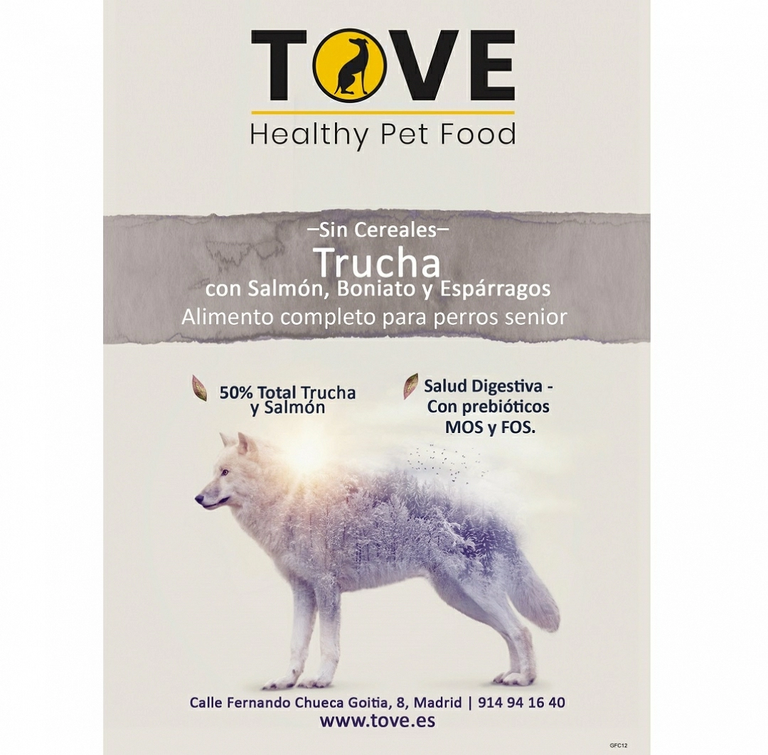 GF Trucha con Salmón, Boniato y Espárragos (Senior)